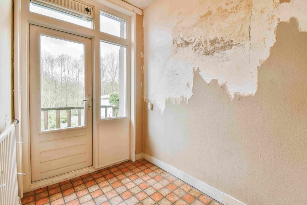 Water Damage Repair San Diego: Fast Cleanup & Repairs!