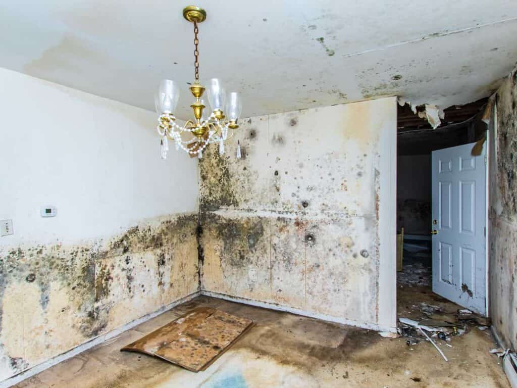 7 Common Misconceptions About Water Damage Repair